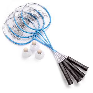 Meteor Motion 4 badminton set