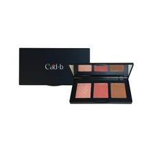 Load image into Gallery viewer, Pro Cheek Palette in both Matte and Shimmer Shades - Curious - PCP52 | Vegan, Cruelty Free, Paraben Free, Talc Free
