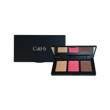 Load image into Gallery viewer, Pro Cheek Palette in both Matte and Shimmer Shades - Pop - PCP53 | Vegan, Cruelty Free, Paraben Free, Talc Free
