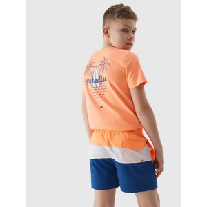 Swim shorts 4F Jr 4FJWSS24UBDSM065-70N