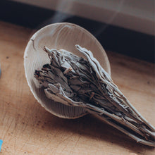 Load image into Gallery viewer, Witchy Pooh&#39;s White Sage Whole Leaf for Smudging, Purification and Ritual-3
