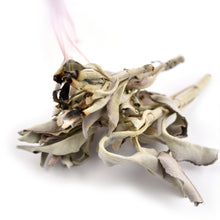 Load image into Gallery viewer, Witchy Pooh&#39;s White Sage Whole Leaf for Smudging, Purification and Ritual-2
