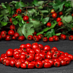 Witchy Pooh's Hawthorn Berries For Rituals to Guide The Deceased to the Afterlife and Connection to the Fairy Realm-2