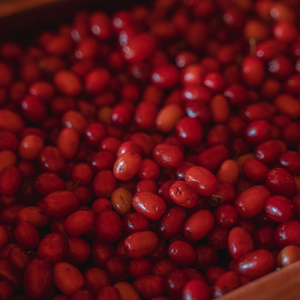 Witchy Pooh's Hawthorn Berries For Rituals to Guide The Deceased to the Afterlife and Connection to the Fairy Realm-4