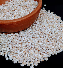 Load image into Gallery viewer, 1kg+ Barley seeds ,common barley, grain barley, cereal barley | Ceylon Organic-2
