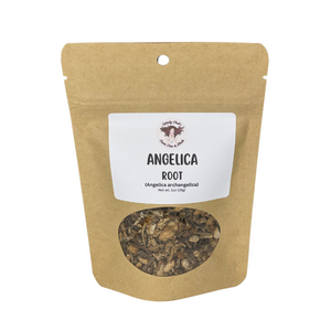 Witchy Pooh's Angelica Root to Invigorate Your Spirit and Shield Against Psychic Attacks-0