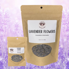 Load image into Gallery viewer, Witchy Pooh&#39;s Lavender Flowers for Simmer Pots, Cooking, Crafting, Tea, Relaxation and Sleep Aid-0
