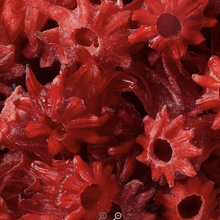 Load image into Gallery viewer, Witchy Pooh&#39;s Candy Hibiscus Flowers, Sweet Candy Coated Whole Bright Red Hibiscus Flowers, Addicting Snack!-1
