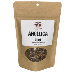 Witchy Pooh's Angelica Root to Invigorate Your Spirit and Shield Against Psychic Attacks-5