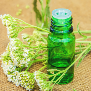 Witchy Pooh's Yarrow Flowers Herb For Topical Wound Healing, Heighten Senses for Ritual and Intuition-4