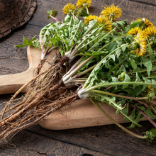 Load image into Gallery viewer, Witchy Pooh&#39;s Dandelion Root Loose Leaf Herbal Tea for Purification Rituals and Healing Ceremonies-4
