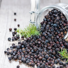 Load image into Gallery viewer, Witchy Pooh&#39;s Juniper Berries For Simmer Pots, Cooking and  Rituals to Ward Off Negativity-2
