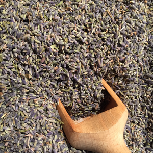 Witchy Pooh's Lavender Flowers for Simmer Pots, Cooking, Crafting, Tea, Relaxation and Sleep Aid-1