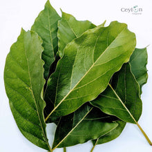 Load image into Gallery viewer, 500+ Organic Dried Avocado Leaves | Herbal Tea | Ceylon Organic-0
