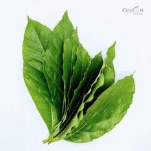 Load image into Gallery viewer, 500+ Organic Dried Avocado Leaves | Herbal Tea | Ceylon Organic-1
