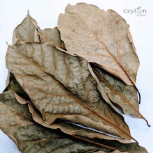 Load image into Gallery viewer, 500+ Organic Dried Avocado Leaves | Herbal Tea | Ceylon Organic-2
