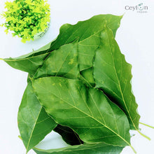 Load image into Gallery viewer, 500+ Organic Dried Avocado Leaves | Herbal Tea | Ceylon Organic-5
