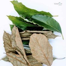 Load image into Gallery viewer, 500+ Organic Dried Avocado Leaves | Herbal Tea | Ceylon Organic-3
