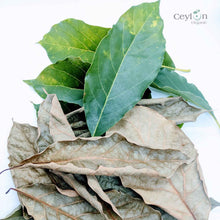 Load image into Gallery viewer, 500+ Organic Dried Avocado Leaves | Herbal Tea | Ceylon Organic-6
