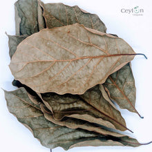 Load image into Gallery viewer, 500+ Organic Dried Avocado Leaves | Herbal Tea | Ceylon Organic-4
