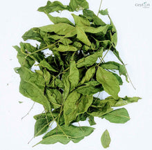 Load image into Gallery viewer, 500+ Bael Leaves, Dried Bel Leaves, Dried Bael Leaves, Bilva Leaves |  ceylon organic-2
