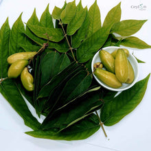 Load image into Gallery viewer, 500+ Dried  Averrhoa Bilimbi Leaves, kamias leaves | ceylon organic-4
