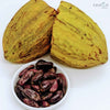 Premium Cacao Seeds for Crafting, Gardening, and Gourmet Recipes | Ceylon Organic-3