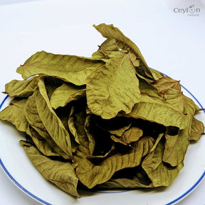 1000+ Dehydrated Cassia Alata , Organic dried candle bush Leaves , King of the medicinal plant-6