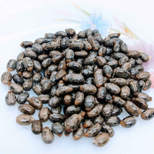 Load image into Gallery viewer, 500+ Castor seeds, Castor beans, Castor plant seeds | Ceylon Organic-5
