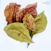 Load image into Gallery viewer, 100+ Cattapa Leaves, Tropical Almond Leaves,100% Organic | Ceylon Organic-1
