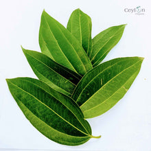 Load image into Gallery viewer, 500+ Organic Cinnamon Leaves,Dried Cinnamon Leaves | ceylon organic-4
