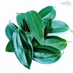 500+ Organic Cinnamon Leaves,Dried Cinnamon Leaves | ceylon organic-6