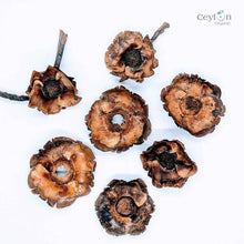 Load image into Gallery viewer, Dried Coconut flowers for your craft projects and aquarium, 100% Naturally dried |  Ceylon Organic-1
