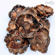 Load image into Gallery viewer, Dried Coconut flowers for your craft projects and aquarium, 100% Naturally dried |  Ceylon Organic-3
