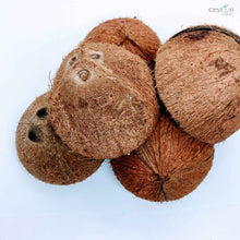 Load image into Gallery viewer, COCONUT SHELL HALVES DECORATION,ECO-FRIENDLY 100% ORGANIC | Ceylon Organic-2
