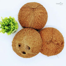 Load image into Gallery viewer, COCONUT SHELL HALVES DECORATION,ECO-FRIENDLY 100% ORGANIC | Ceylon Organic-1
