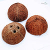 COCONUT SHELL HALVES DECORATION,ECO-FRIENDLY 100% ORGANIC | Ceylon Organic-0