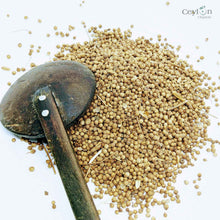 Load image into Gallery viewer, 1kg+ Coriander Seeds, Cilantro, Chinese parsley, dhania, Best Quality Spices | Ceylon Organic-2
