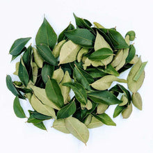 Load image into Gallery viewer, 3kg+ Dried Curry Leaves - Organic, Freshly Harvested, Authentic Ceylon Spices | Ceylon Organic-3
