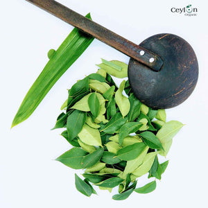 3kg+ Dried Curry Leaves - Organic, Freshly Harvested, Authentic Ceylon Spices | Ceylon Organic-5