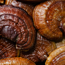 Load image into Gallery viewer, Witchy Pooh&#39;s Reishi Mushrooms Large Whole Mushrooms For Apoptogenic Properties, Cooking, Teas and Smoothies-1
