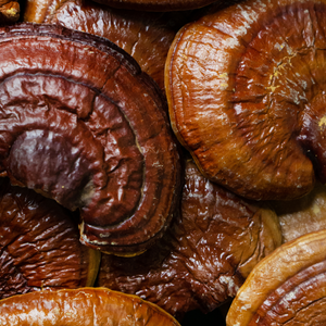 Witchy Pooh's Reishi Mushrooms Large Whole Mushrooms For Apoptogenic Properties, Cooking, Teas and Smoothies-1