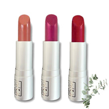 Load image into Gallery viewer, DR.HC All-Natural Veganic Matte Lipstick (10 Shades) (4g, 0.14oz.) (Anti-aging, Anti-pigmentation, Deep moisturizing, Anti-inflammatory...)-0
