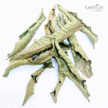 Load image into Gallery viewer, 500+ Guava Leaves, Dried Guava Leaves | Ceylon organic-4
