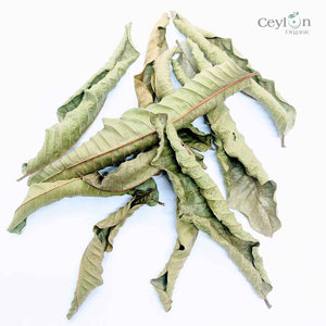 500+ Guava Leaves, Dried Guava Leaves | Ceylon organic-4