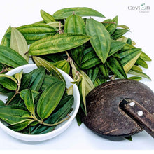 Load image into Gallery viewer, 3kg+ Organic liver plant leaves Heen bovitiya(Osbeckia octandra) | Ceylon organic-2
