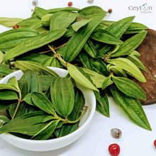 Load image into Gallery viewer, 3kg+ Organic liver plant leaves Heen bovitiya(Osbeckia octandra) | Ceylon organic-4
