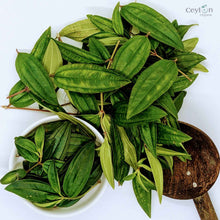 Load image into Gallery viewer, 3kg+ Organic liver plant leaves Heen bovitiya(Osbeckia octandra) | Ceylon organic-3
