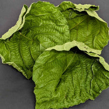 Load image into Gallery viewer, Macaranga Peltata Leaves ,Kenda Leaves,100% Pure Organic Dry Leaves | Ceylon Organic-1
