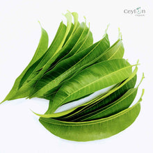 Load image into Gallery viewer, 500+ Mango Leaves,Dried Mango Leaves, 100% Organic Dried Mango Leaves | Ceylon organic-0
